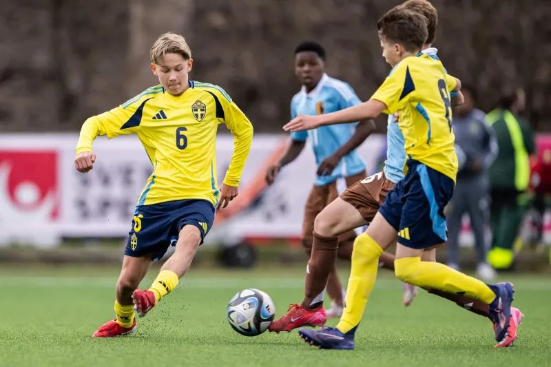 Landslagsuppdrag i veckan